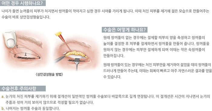 ��Ȱ˼��������/� ��� �����ϳ���?/������ ��� �ϳ���? /�������� ���ǻ���