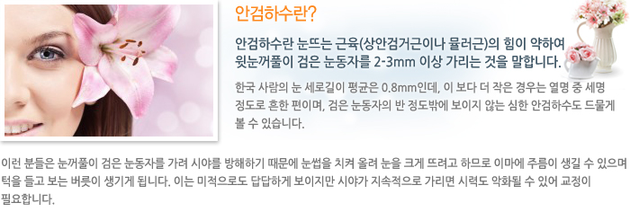 �Ȱ��ϼ���?