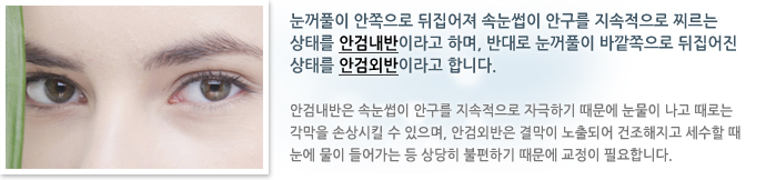 ����Ǯ�� �������� �������� �Ӵ����� �ȱ��� ���������� ��� ���¸� �Ȱ˳����̶�� �ϸ�, �ݴ�� ����Ǯ�� �ٱ������� �������� ���¸� �Ȱ˿ܹ��̶�� �մϴ�.