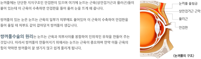 ����Ǯ���� �ܴ��� ���������� �Ȱ����� ������ ���⿡ ���ߴ� ����(��Ȱ˰űٰ� �ķ���)���� �پ� �ִµ� �� ������ �����ϸ� �Ȱ����� ��� �÷� ���� �߰� �� �ݴϴ�.